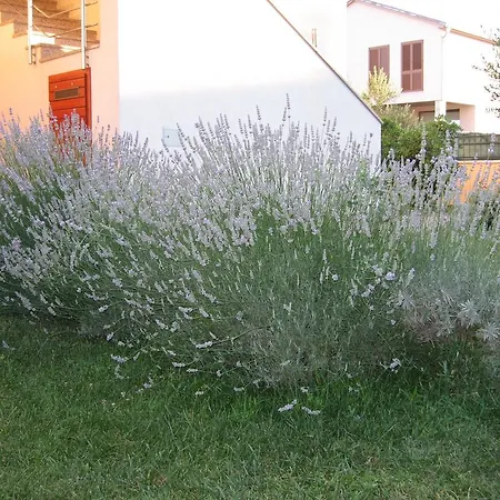 Apartment Blandona *