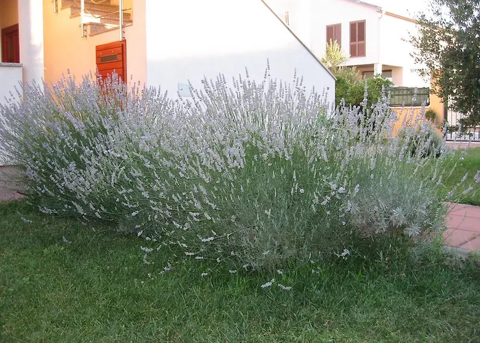 アパート Blandona *